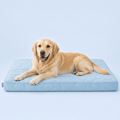 Wellsy Cooling Cloud Bed